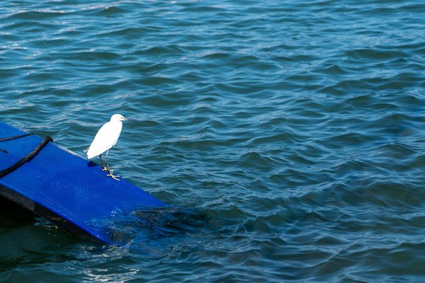 Les Secrets du Magnésium pour Soulager la Dépression Légère : Votre Guide Incontournable